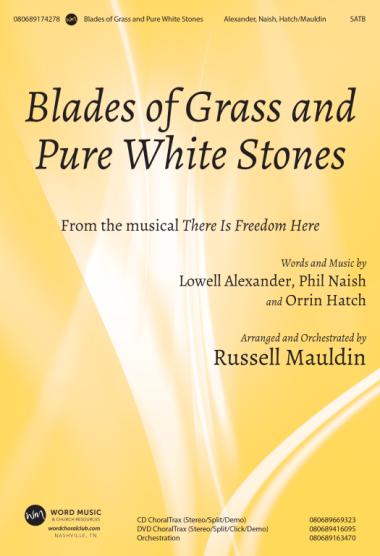 Blades Of Grass And Pure White Stones